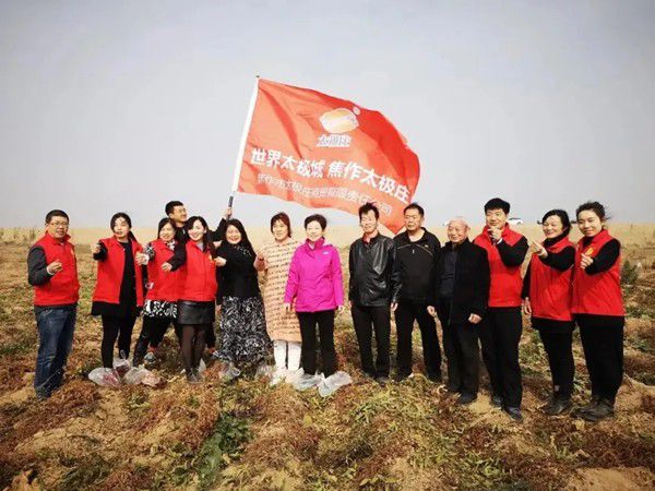 11月12日，眾人翹首以盼的太極莊山藥采挖活動在太極莊公司的溫縣·富硒鐵棍山藥標(biāo)準化種植基地拉開帷幕